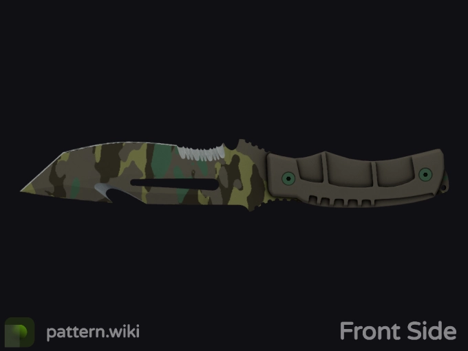 skin preview seed 748