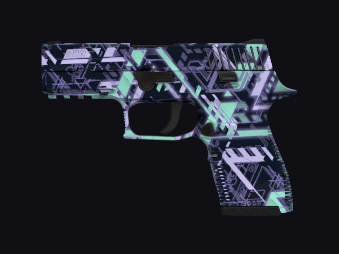 skin preview seed 224