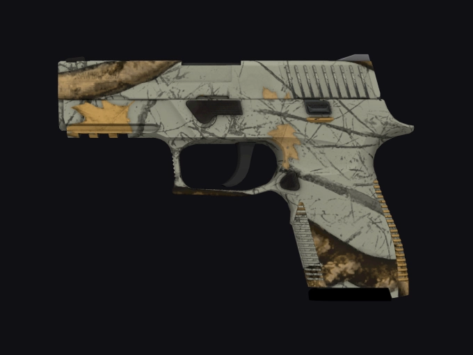 skin preview seed 958