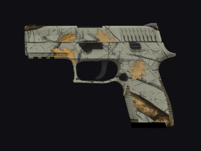 skin preview seed 687