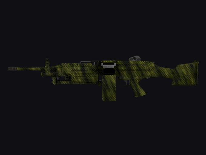 skin preview seed 953