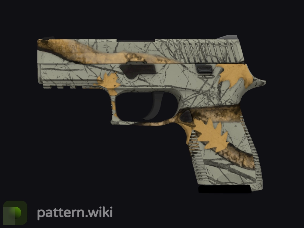 P250 Modern Hunter seed 300