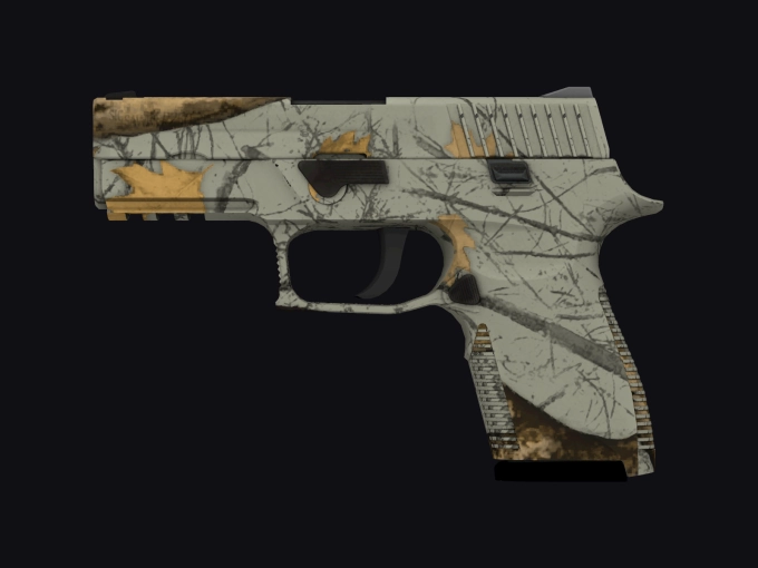 skin preview seed 403