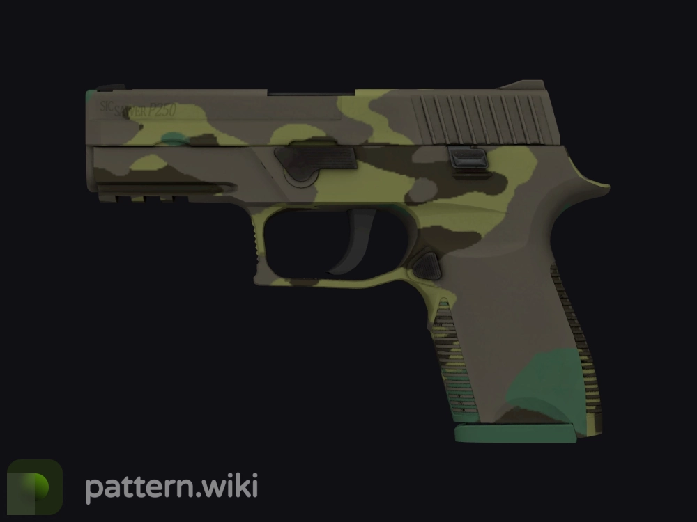 P250 Boreal Forest seed 570