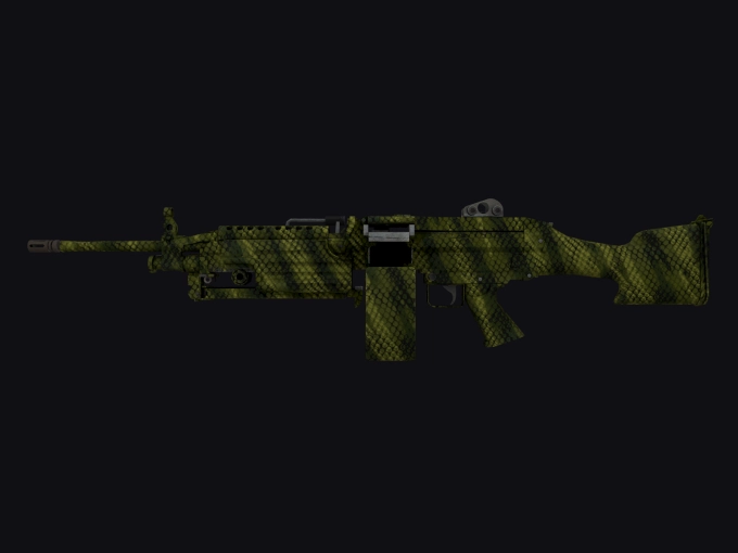 skin preview seed 256