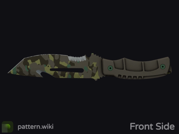 skin preview seed 572