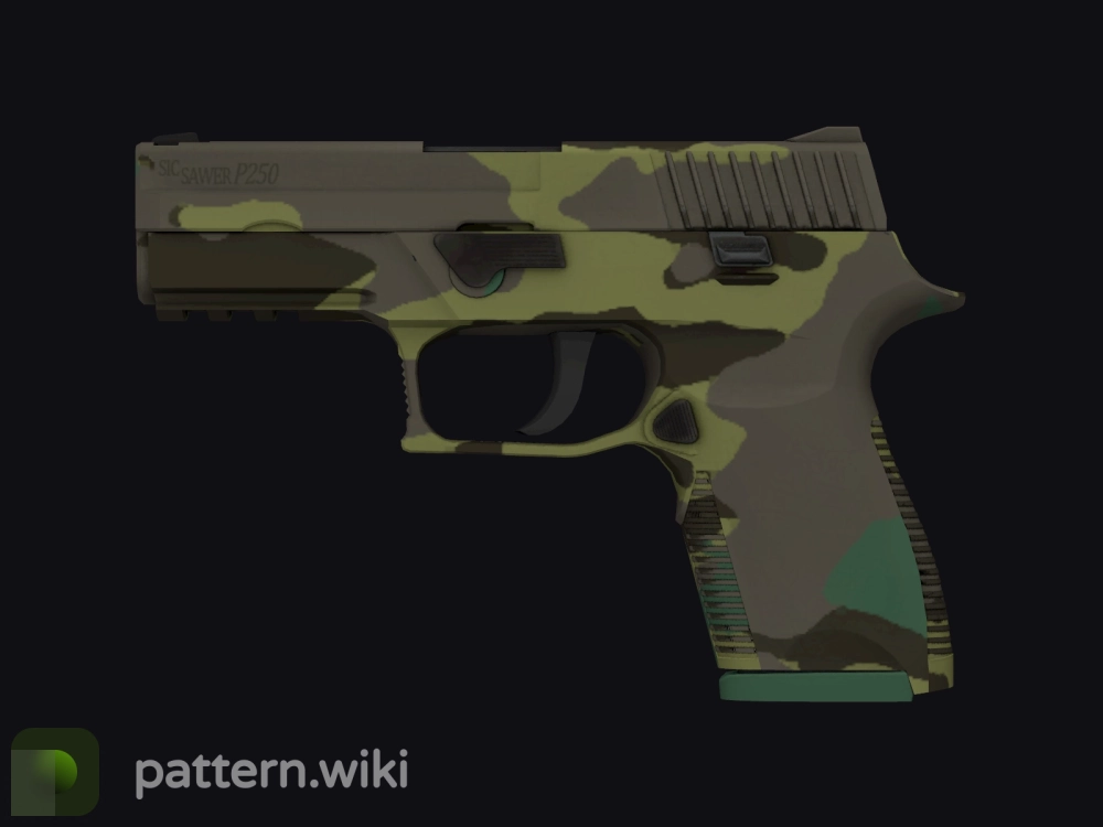 P250 Boreal Forest seed 862