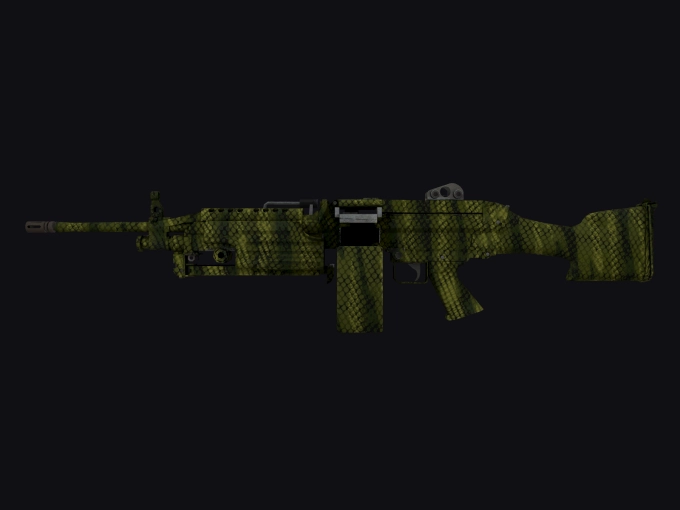 skin preview seed 922