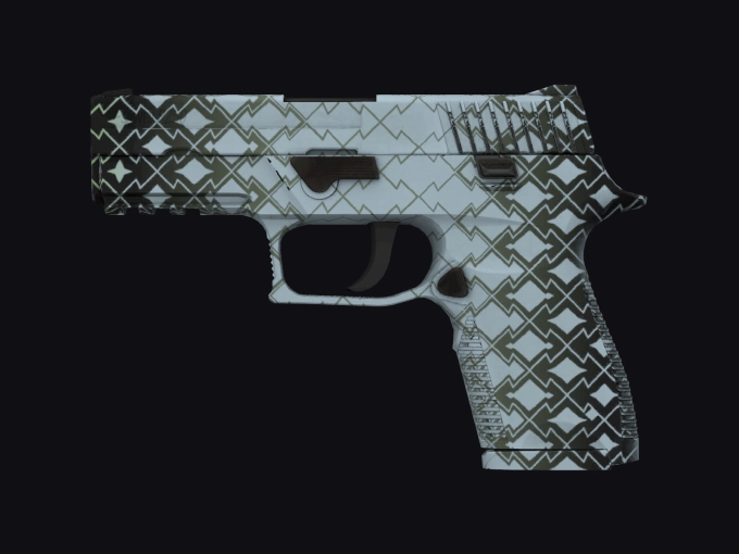 skin preview seed 993