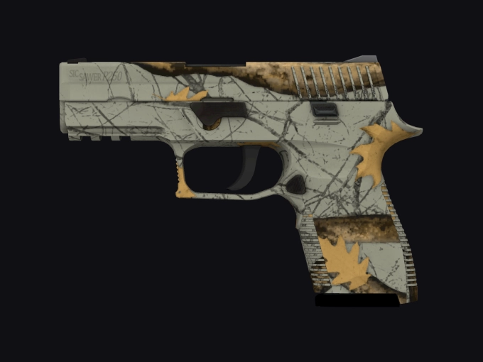 skin preview seed 916