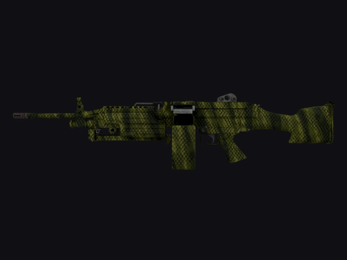 skin preview seed 986