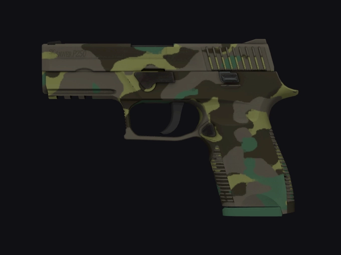 skin preview seed 166