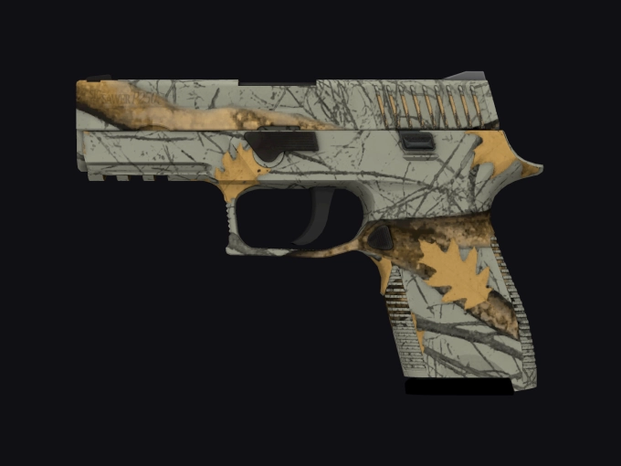 skin preview seed 901