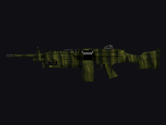 skin preview seed 165