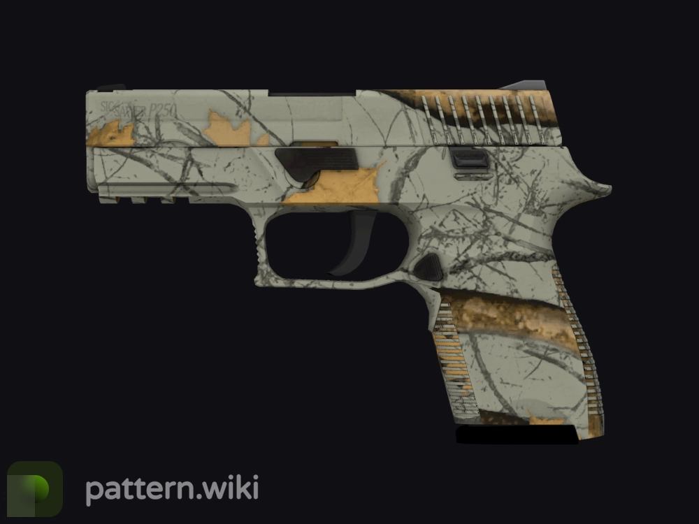 P250 Modern Hunter seed 842