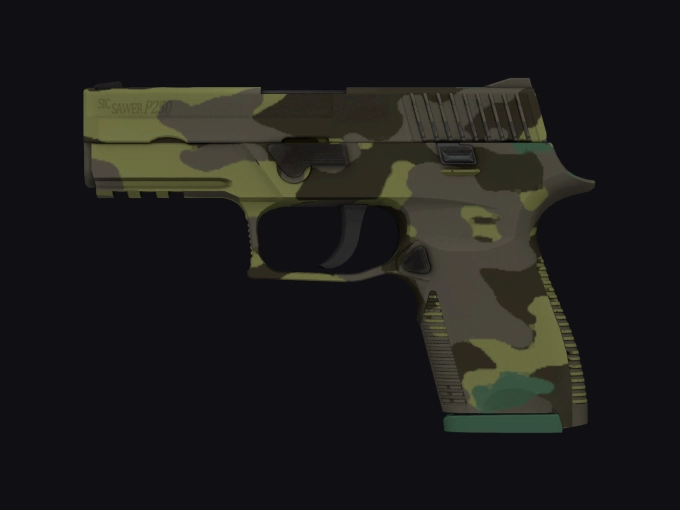 skin preview seed 900