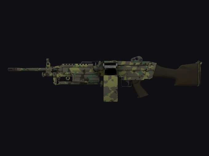 skin preview seed 904