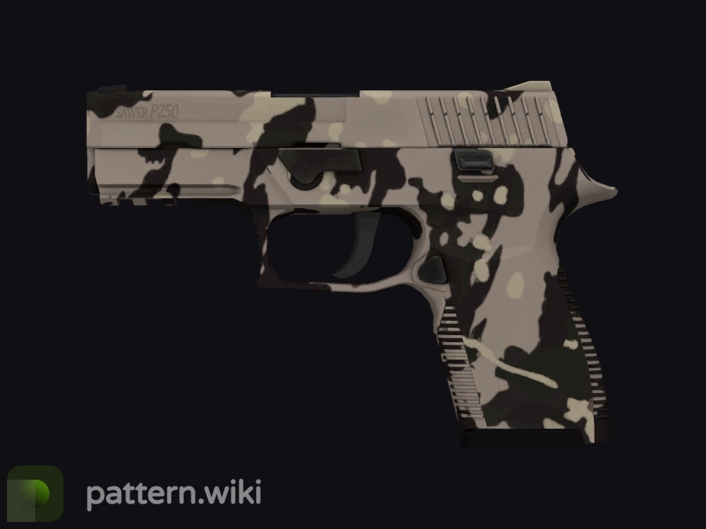 P250 Black & Tan seed 22