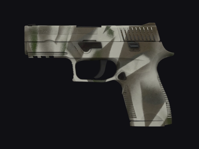 skin preview seed 904