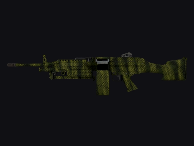 skin preview seed 448