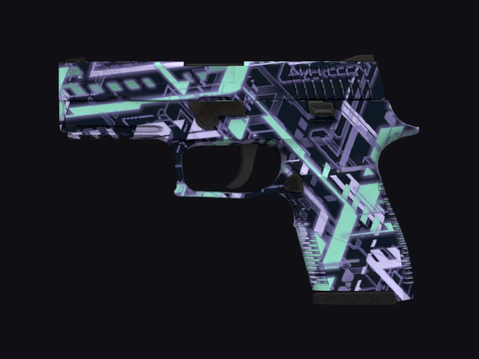 skin preview seed 914