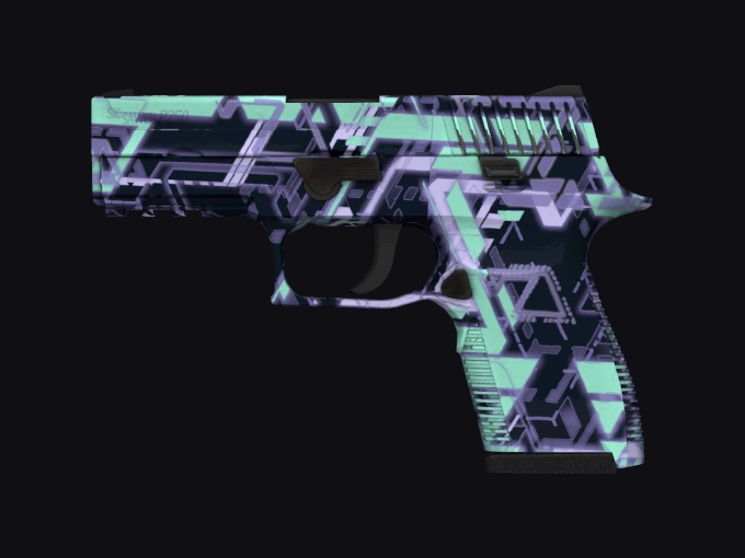 skin preview seed 907