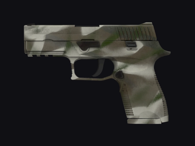 skin preview seed 305