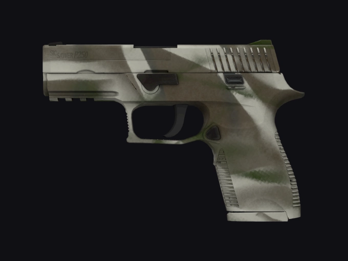 skin preview seed 231