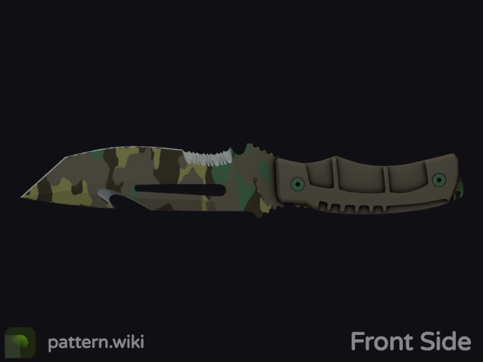 skin preview seed 259