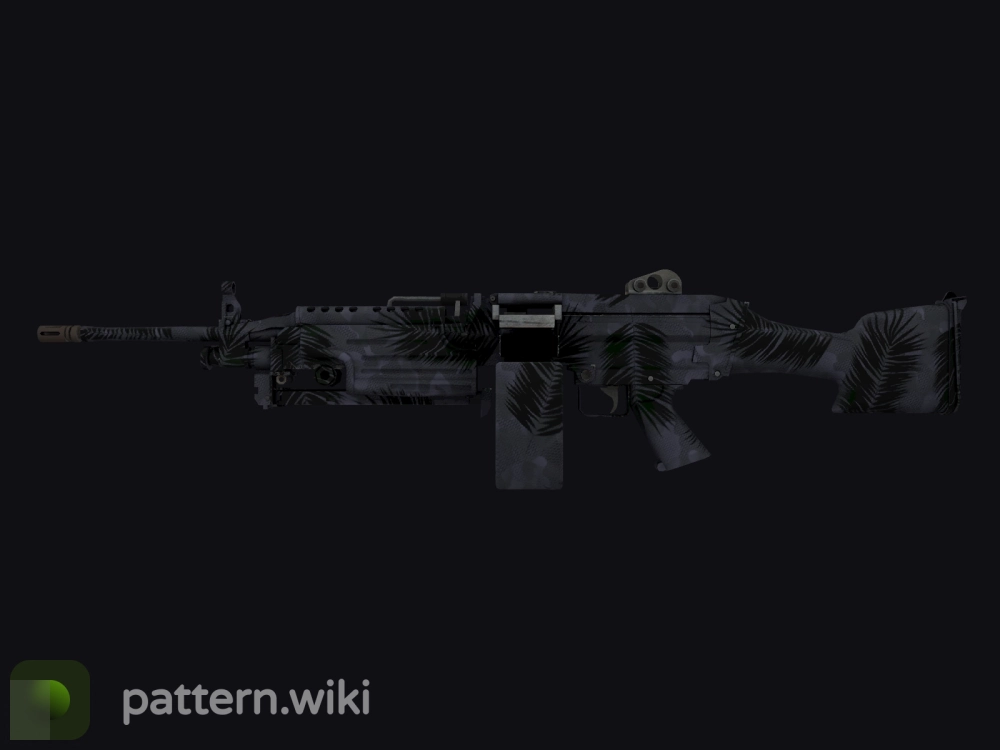 M249 Midnight Palm seed 613