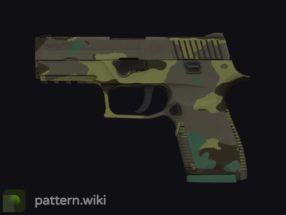 P250 Boreal Forest seed 818