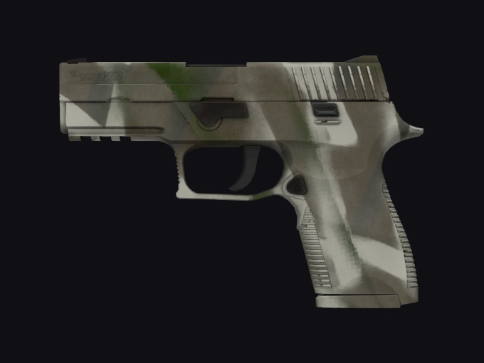 skin preview seed 376