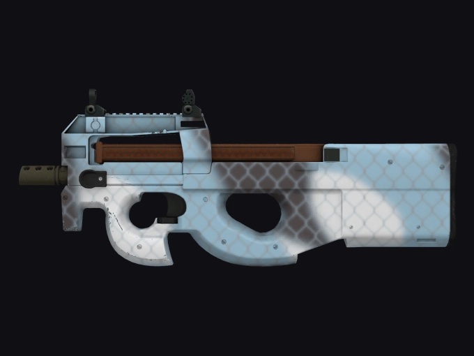 skin preview seed 309