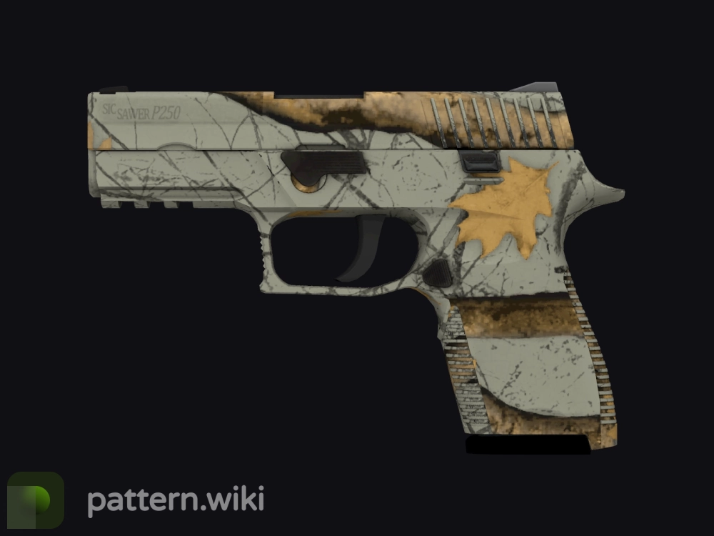 P250 Modern Hunter seed 661