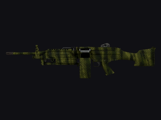 skin preview seed 254