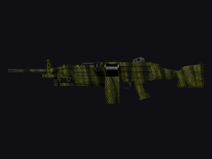 skin preview seed 443