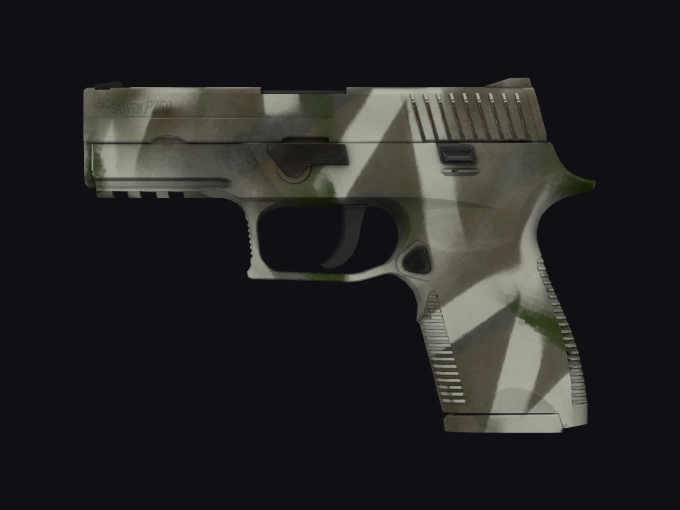 skin preview seed 307