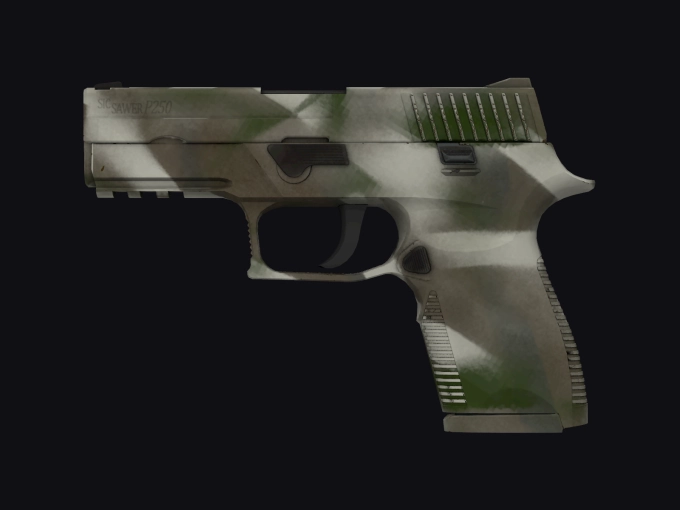 skin preview seed 308