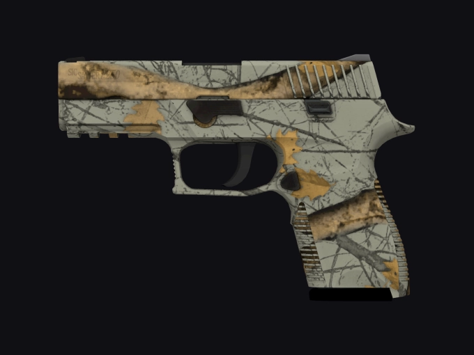 skin preview seed 282