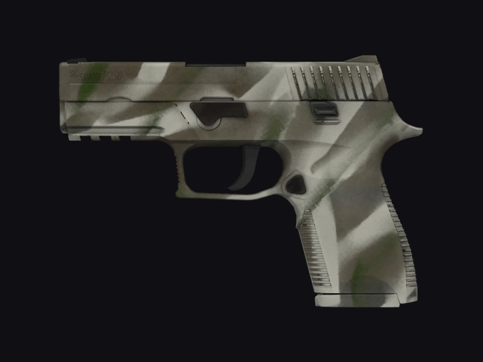 skin preview seed 900