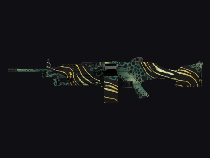 skin preview seed 904