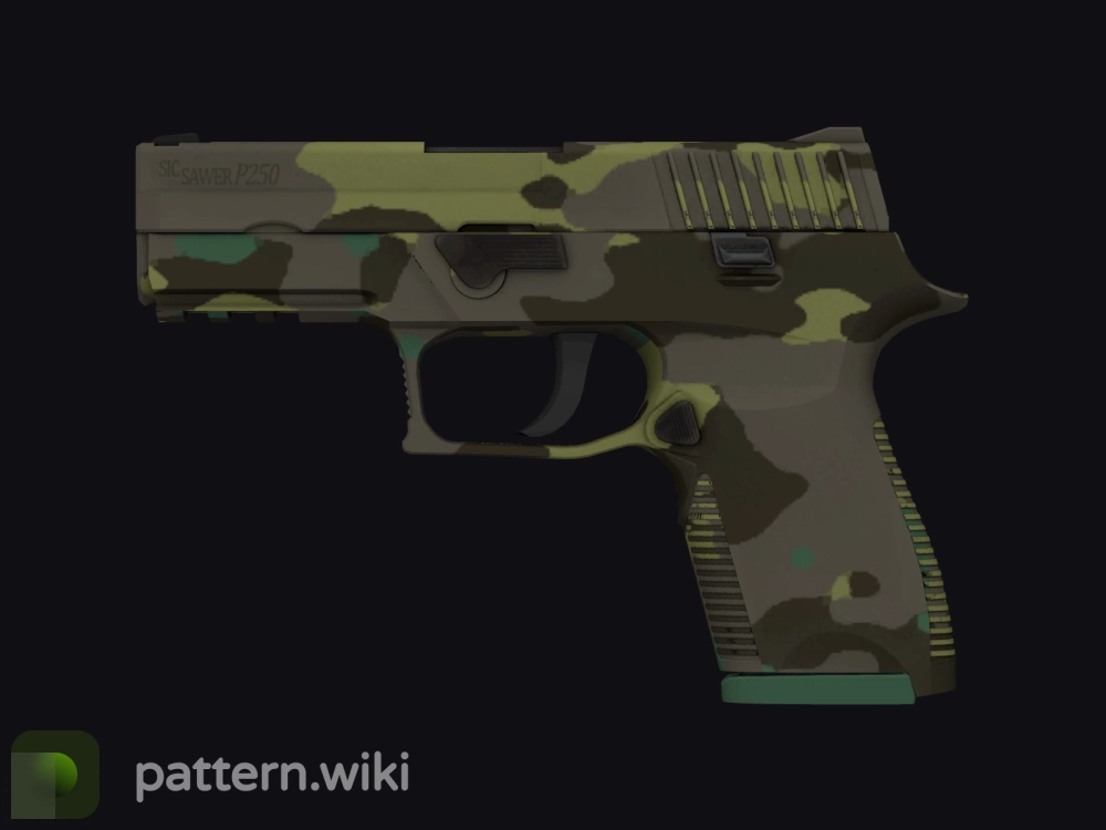 P250 Boreal Forest seed 497