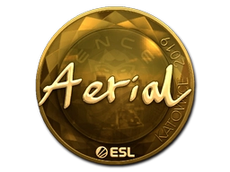 Sticker Aerial (Gold) | Katowice 2019 preview