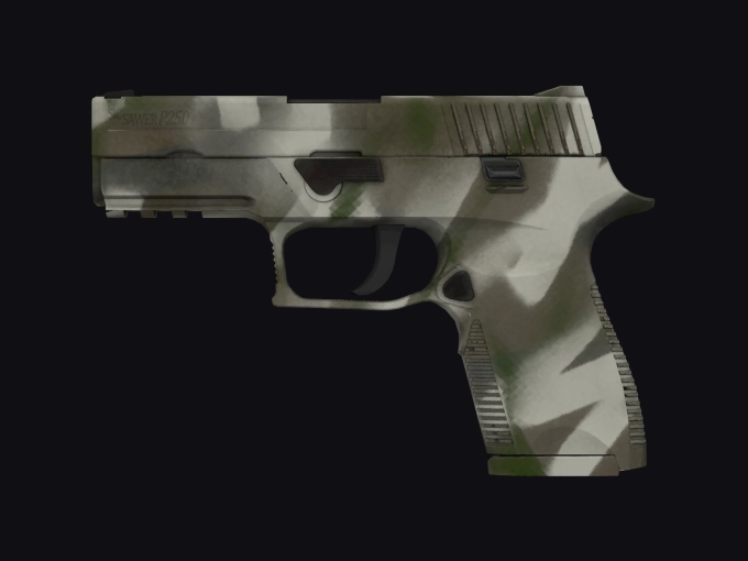 skin preview seed 905