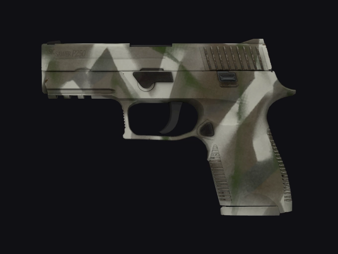 skin preview seed 958