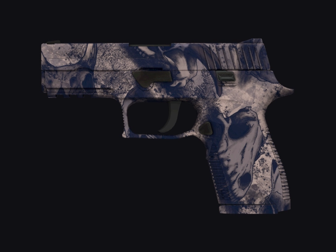 skin preview seed 337