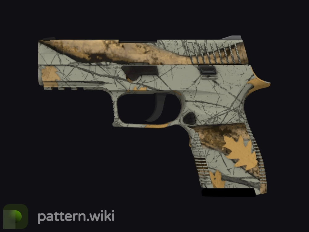 P250 Modern Hunter seed 763