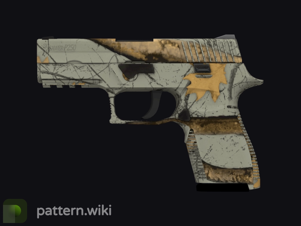 P250 Modern Hunter seed 848