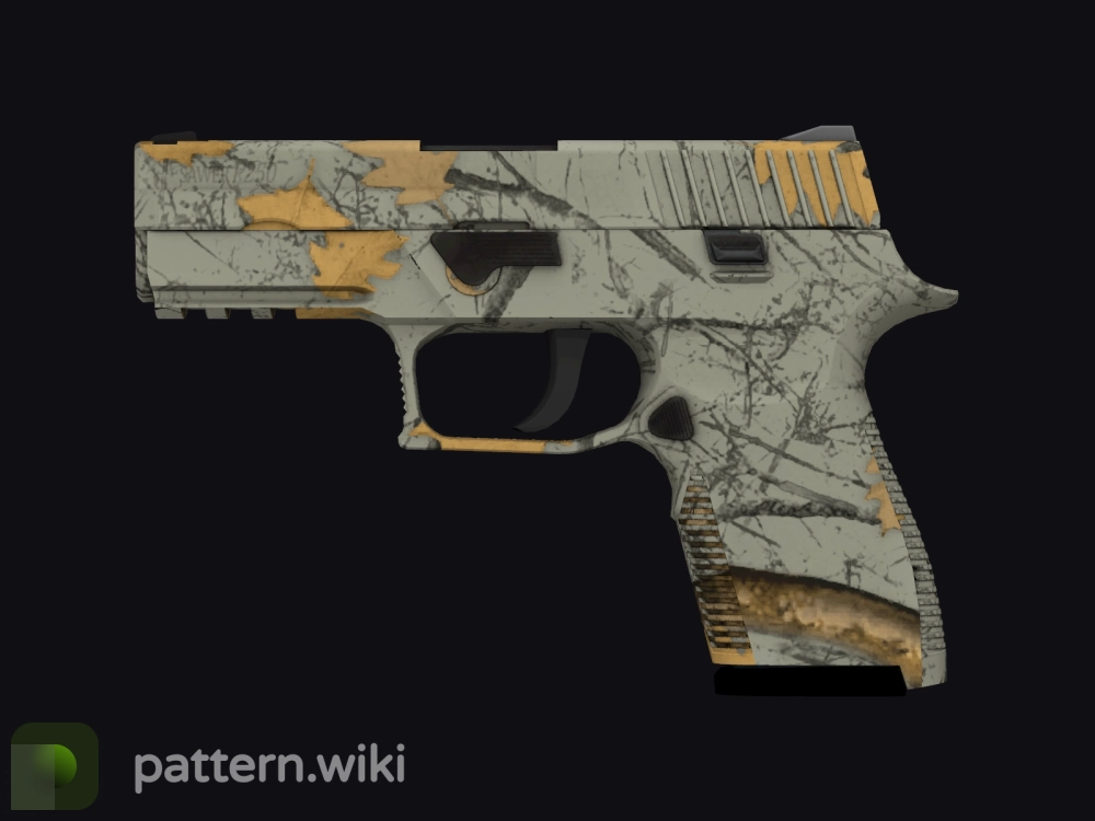 P250 Modern Hunter seed 720