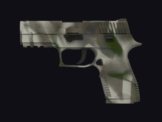 skin preview seed 907